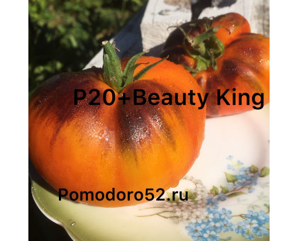 Томат П-20+КОРОЛЬ КРАСОТЫ P20 (Beauty King)10шт