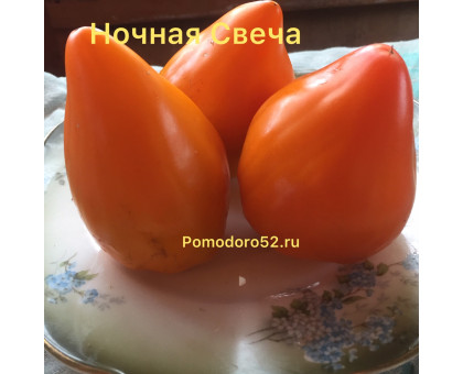 Томат Ночная свеча(Night Candle) 5шт