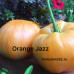 Томат Оранжевый джаз (Orange Jazz)10шт