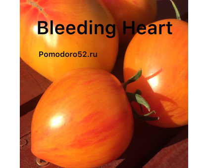 Томат Кровоточащее сердце(Bleeding Heart) 10шт