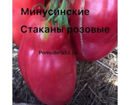 Томат Минусинские стаканы розовые 10шт