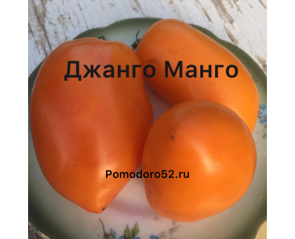 Томат Манго джанго 5шт 