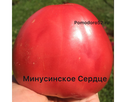 Томат Минусинское сердце 5шт