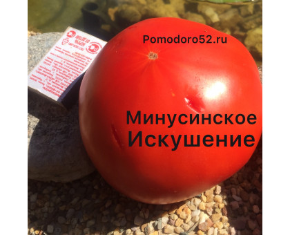 Томат Минусинское искушение 10шт