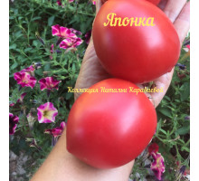 Томат Японка10шт