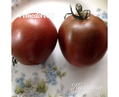 Томат кумато